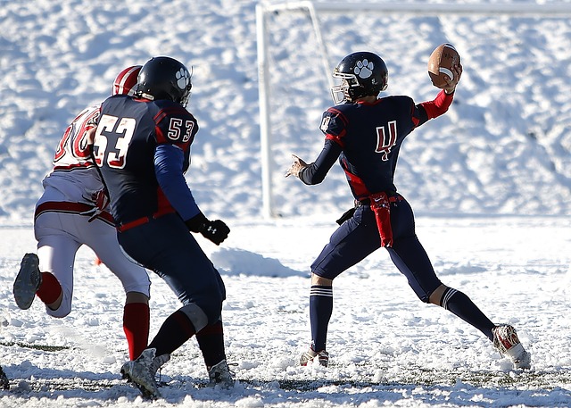 神的生动体 神的生动体