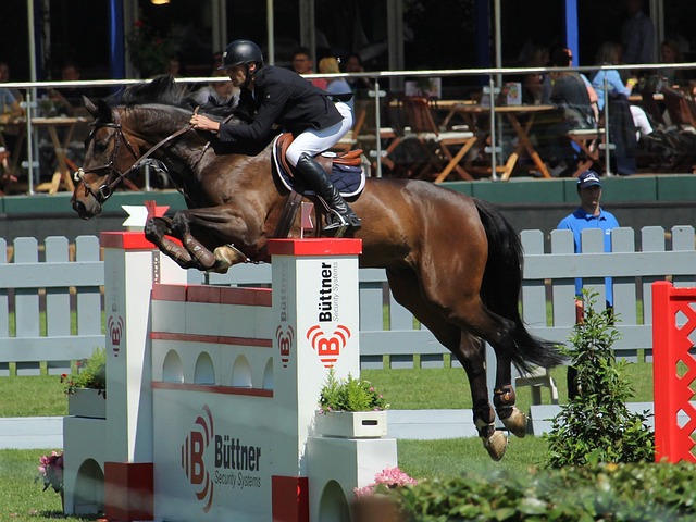 与比赛中保 与比赛中保