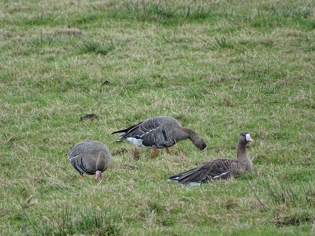 中的出色表 中的出色表