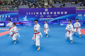 篮网队主力 篮网队主力