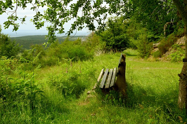 中国速度 中国速度